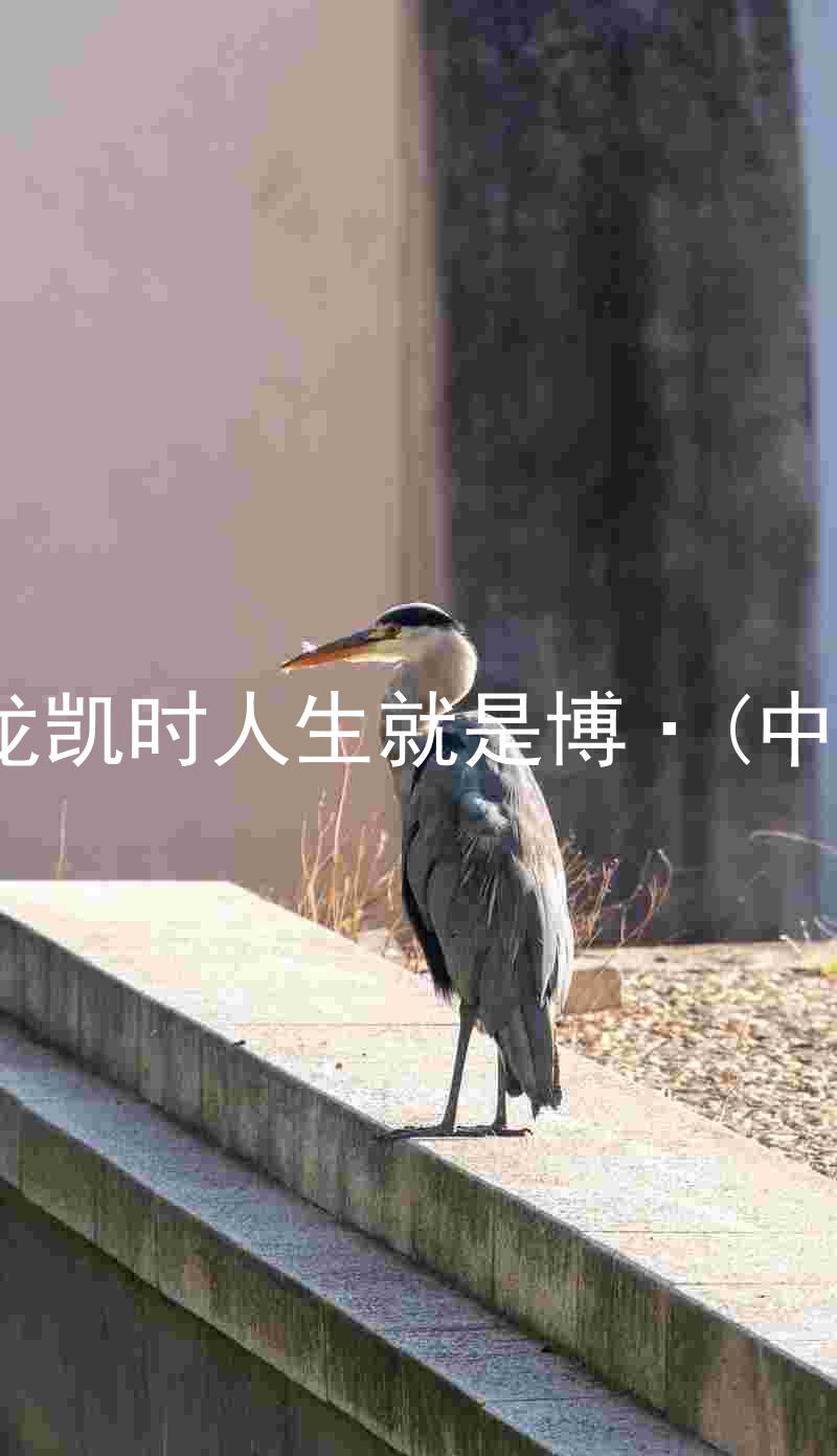 尊龙凯时人生就是博·(中国)